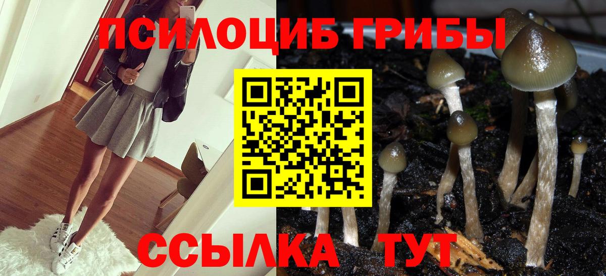 Великие Луки  Галлюциногенные грибы мухоморы  дарнет шоп  Вход с VPN 